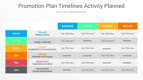 Promotion Plan Timelines Activity Planned