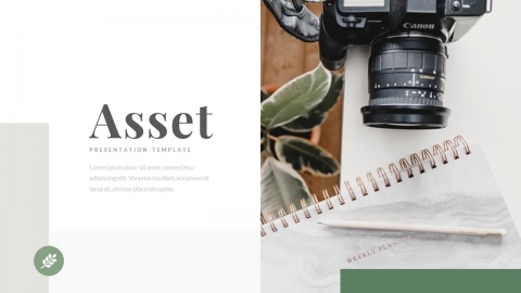 Asset Business Power Point Template