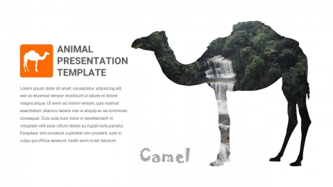 Free Camel PowerPoint Presentation Template