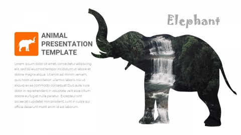 Free Elephant PowerPoint Presentation Template