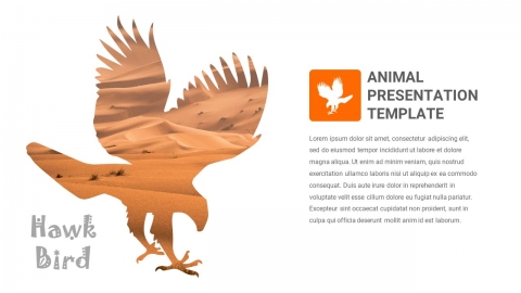 Free Hawk Bird PowerPoint Presentation Template
