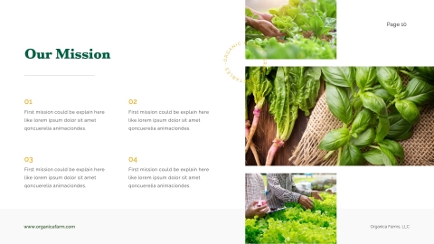 Organica Fresh Agricultural and Vegetables Farm Presentation