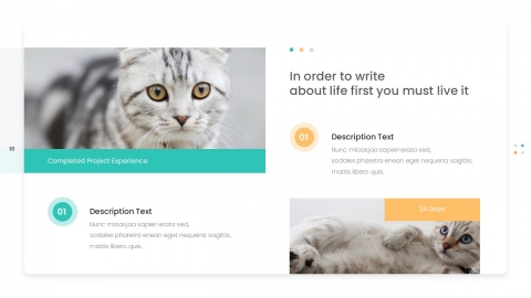 Paws Animal Care Powerpoint Presentation