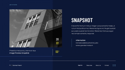 PLUZZ Company Profile Powerpoint Template